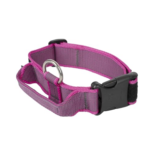 JULIUS-K9, 100HA-K-PN-2015 Color & Gray K9-Halsband mit Haltegriff, Sicherheitsverschluss und Logo, 40 mm*38-53 cm, verstellbar, pink-grau von JULIUS K-9