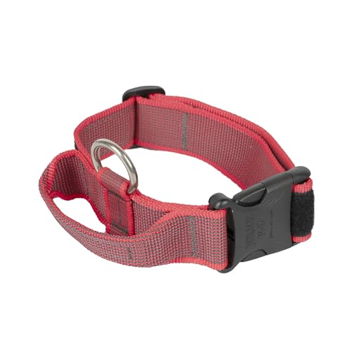 JULIUS-K9, 100HA-K-R-2015 Color & Gray K9-Halsband mit Haltegriff, Sicherheitsverschluss und Logo, 40 mm*38-53 cm, verstellbar, rot-grau von JULIUS K-9
