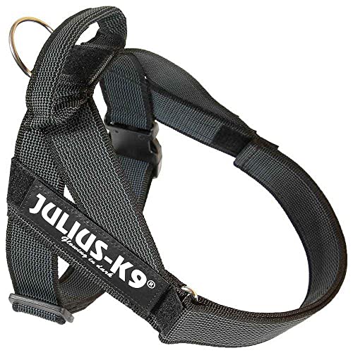 Julius-K9, IDC® Color & Gray® Beltgeschirr Julius-K9, IDC® Color & Gray® Beltgeschirr von JULIUS K-9