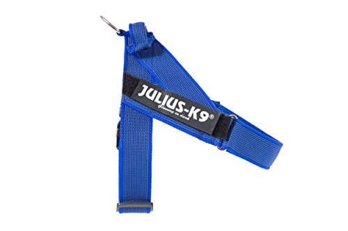 JULIUS-K9, 16IDC-0-B-2015, Color&Gray IDC-Gurtbandgeschirr, Größe 0, blau-grau von JULIUS K-9