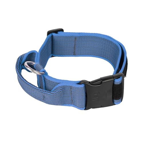 JULIUS-K9, 200HA-K-B-2015 Color & Gray series- K9-Halsband mit Haltegriff, Sicherheitsverschluss und Logo und Sicherheitsverschluss, 50 mm*49-70 cm, verstellbar, blau-grau von JULIUS K-9