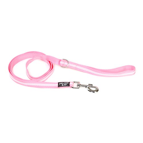 Julius-K9, 216-NL-1,8-PN, IDC-Schlauchgurtleine, 19 mm x 1,8 m, mit nachleuchtenden Streifen, mit Schlaufe und D-Ring, pink von JULIUS K-9