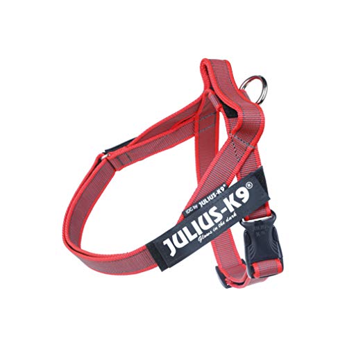 Julius-K9, IDC® Color & Gray® Beltgeschirr Julius-K9, IDC® Color & Gray® Beltgeschirr von JULIUS K-9