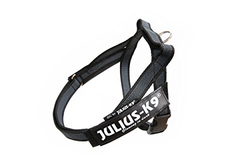Julius-K9, IDC® Color & Gray® Beltgeschirr von JULIUS K-9