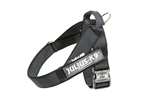 Julius-K9, IDC® Color & Gray® Beltgeschirr von JULIUS K-9