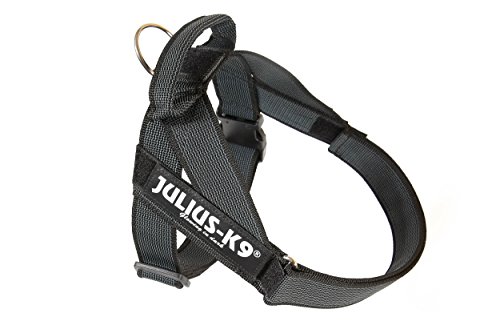 Julius-K9, IDC® Color & Gray® Beltgeschirr von JULIUS K-9