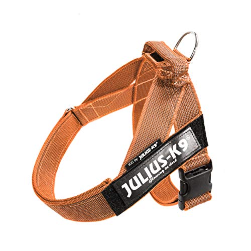 Julius-K9, IDC® Color & Gray® Beltgeschirr von JULIUS K-9