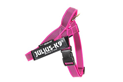 Julius-K9, IDC® Color & Gray® Beltgeschirr von JULIUS K-9