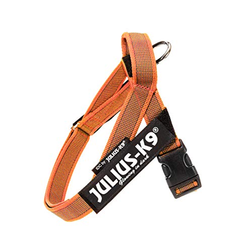 Julius-K9, IDC® Color & Gray® Beltgeschirr Julius-K9, IDC® Color & Gray® Beltgeschirr von JULIUS K-9
