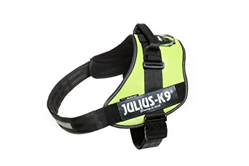 IDC Powergeschirr, Größe: 2XL/3, UV Neon Grün von JULIUS K-9