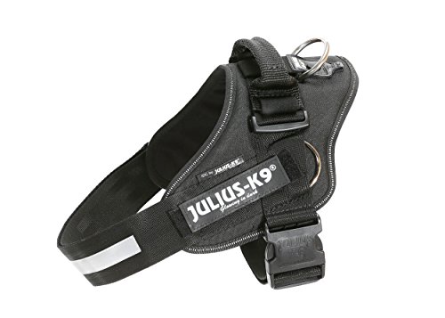Julius-K9, IDC Powergeschirr mit Seitenringen, Größe: M/0, schwarz von JULIUS K-9