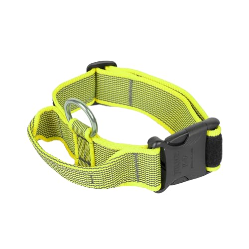 Julius-K9 100HA-K-NE-2015 Color & Gray Halsband mit Haltegriff, Sicherheitverschluss und Logo, 40 mm*38-53 cm, verstellbar, neon-grau von JULIUS K-9