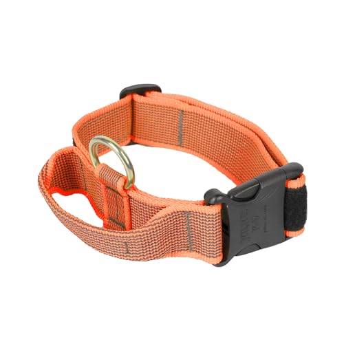 Julius-K9 Color & Grey Halsband mit Griff, Sicherheitsverschluss und austauschbarem Patch, 40 mm (38-53 cm), Orange-Grau von JULIUS K-9