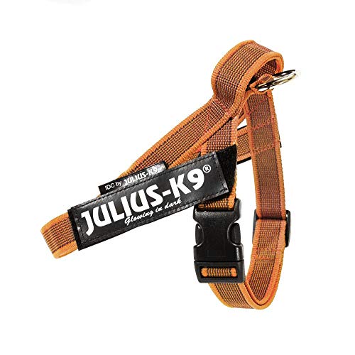 Julius-K9 Arnes Band, Farbe & Grau, Größe: Mini, Orange, 1 Stück, 600 g von JULIUS K-9
