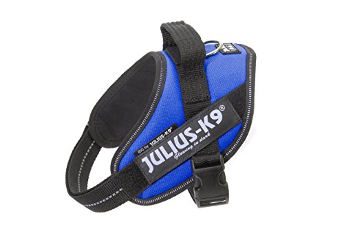 Julius K9 Hundegeschirr, Brustgeschirr reflektierend Hunde Geschirr mit personalisiertes Geschenk, benutzerdefinierter Klettsticker (XS/Mini-Mini, Blau) von JULIUS K-9