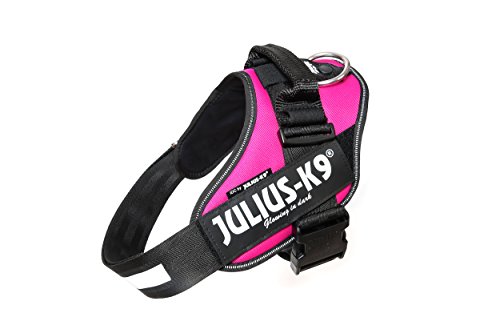 Julius-K9 IDC Powerharness Hundegeschirr mit 2 Patches, Dunkelrosa, Größe 1 Julius-K9 IDC Powerharness Hundegeschirr mit 2 Patches, Dunkelrosa, Größe 1 von JULIUS K-9