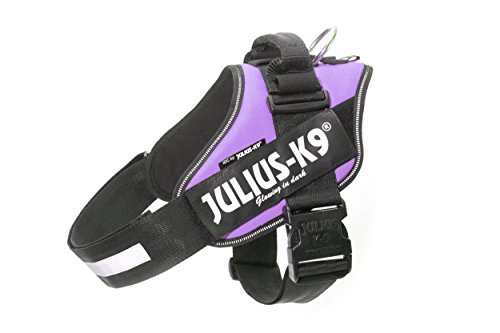 Julius-K9 IDC Powerharness Hundegeschirr mit 2 Patches, Violett, Größe 1 von JULIUS K-9