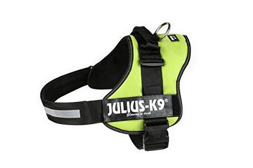 K9 Powergeschirr, Größe: 2XL/3, Kiwi von JULIUS K-9