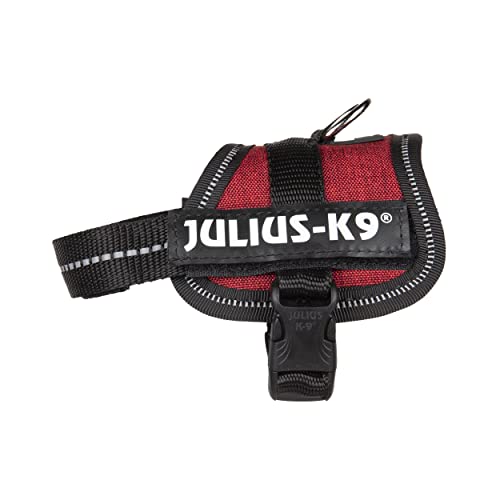 K9 Powergeschirr, Größe: 3XS/Baby 1, Burgundy Sackstoff von JULIUS K-9