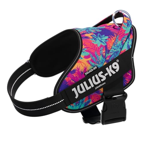 Julius-K9 Power&More Hundegeschirr, Größe: L, Vibe Julius-K9 Power&More Hundegeschirr, Größe: L, Vibe von JULIUS K-9