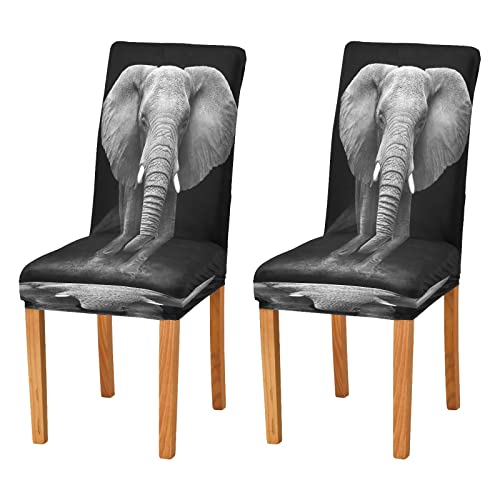 JUMBEAR Stuhlhussen mit afrikanischem Elefantenmotiv für Esszimmer, dehnbar, abnehmbar, waschbar, staubabweisend, für Küchenstuhl, dekorativer Sitzschutz, 2er-Set von JUMBEAR