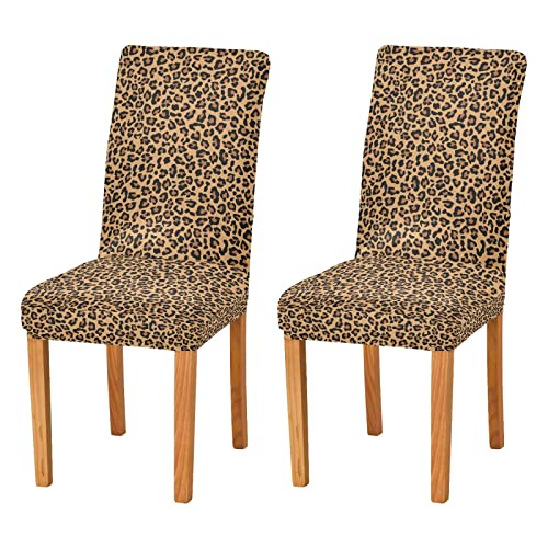 JUMBEAR Leopard Animal Print Stuhlhussen für Esszimmer Stretch Stuhl Schonbezüge Abnehmbar Waschbar Anti-Staub Küche Stuhlbezug Dekorative Sitzschoner 4er Set von JUMBEAR