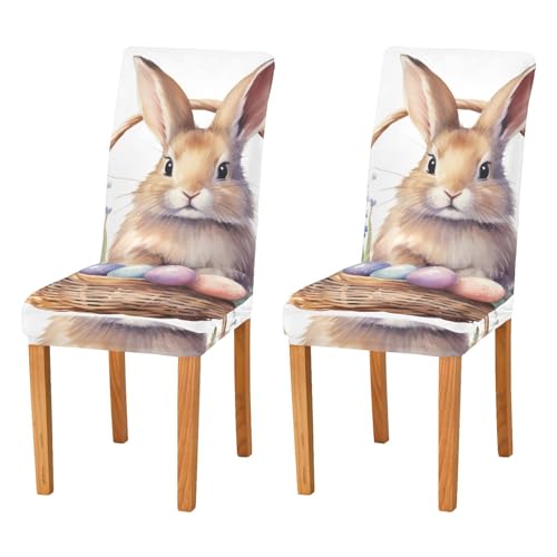 JUMBEAR Stuhlhussen mit niedlichem Hasenmotiv für Esszimmer, dehnbar, abnehmbar, waschbar, Küchenstuhlbezug, dekorativer Sitzschutz, 4 Stück von JUMBEAR