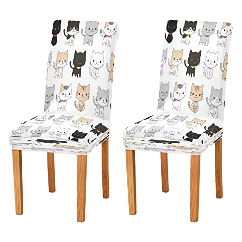 JUMBEAR Stuhlhussen mit niedlichem Katzenmotiv, dehnbar, abnehmbar, waschbar, staubabweisend, für Küche, Stuhlbezug, dekorativer Sitzschutz, 4 Stück von JUMBEAR