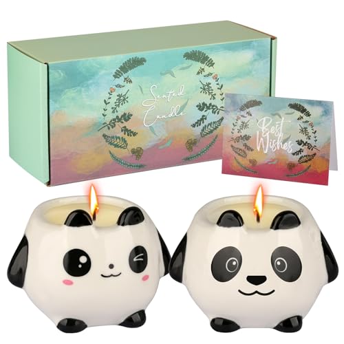 Geschenke für Mütter Geburtstag, Frauen Geburtstagsgeschenk, Schwester Geburtstagsgeschenke, 2-Pack niedliche Kerzen (Panda) von JUMBOW ABSORD