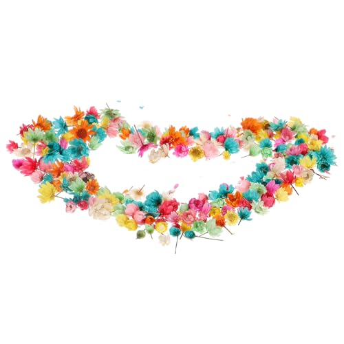 JUMPLAWN 1tasche Trockenblumen Für Bastelprojekte Bunte Natürliche Getrocknete Blüten Für Resin Scrapbooking Und Kreative Dekoration Für Handarbeiten Und Geschenkideen von JUMPLAWN