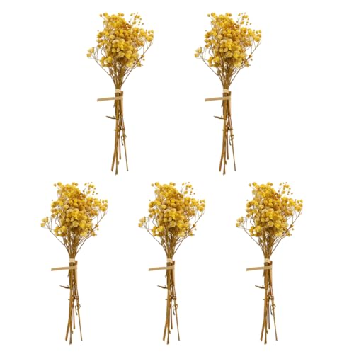 JUMPLAWN 5 Stück Getrocknete Babysbreath Blumenbündel aus Gypsophila Hochzeitsdekoration für Fotografie Requisiten Langlebig JUMPLAWN 5 Stück Getrocknete Babysbreath Blumenbündel aus Gypsophila Hochzeitsdekoration für Fotografie Requisiten Langlebig von JUMPLAWN