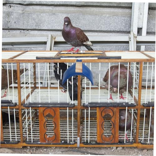JUMPLAWN 6Stücke Teiliges Taubenständer aus Holz für Vögel Stabiler Vogelruhestand Geeignet für Papageien und Andere Vögel mit Hochwertigem Kunststoffboden und Bogenbrückendesign JUMPLAWN 6Stücke Teiliges Taubenständer aus Holz für Vögel Stabiler Vogelruhestand Geeignet für Papageien und Andere Vögel mit Hochwertigem Kunststoffboden und Bogenbrückendesign von JUMPLAWN