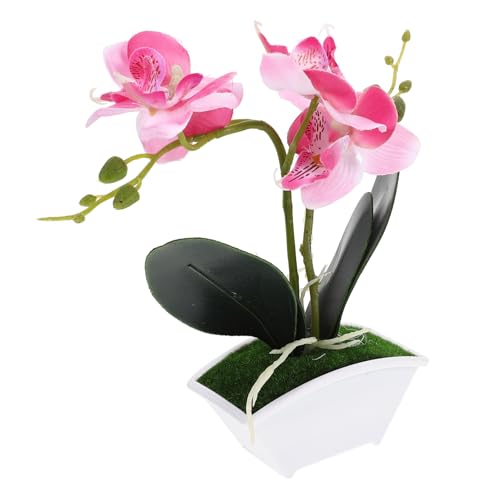 JUMPLAWN Bonsai-obstbaum Orchideenfälschung Tischplatte Mini Gefälschte Topfpflanze Wohnkultur Künstliche Topfpflanzen Klein Süßes Zimmerdekor Zimmerpflanze Lebensecht Drinnen Rot Plastik JUMPLAWN Bonsai-obstbaum Orchideenfälschung Tischplatte Mini Gefälschte Topfpflanze Wohnkultur Künstliche Topfpflanzen Klein Süßes Zimmerdekor Zimmerpflanze Lebensecht Drinnen Rot Plastik von JUMPLAWN