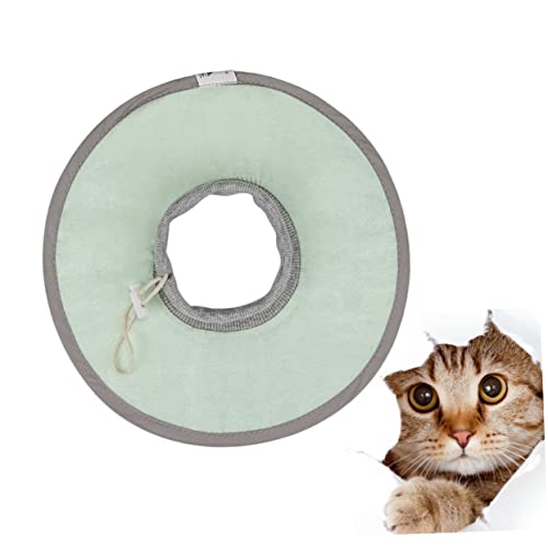 JUMPLAWN Elisabethanisches Katzenhalsband Zur Genesung Verstellbares Und Haustierhalsband Leichtes Und Atmungsaktives Material (grün Größe M) JUMPLAWN Elisabethanisches Katzenhalsband Zur Genesung Verstellbares Und Haustierhalsband Leichtes Und Atmungsaktives Material (grün Größe M) von JUMPLAWN