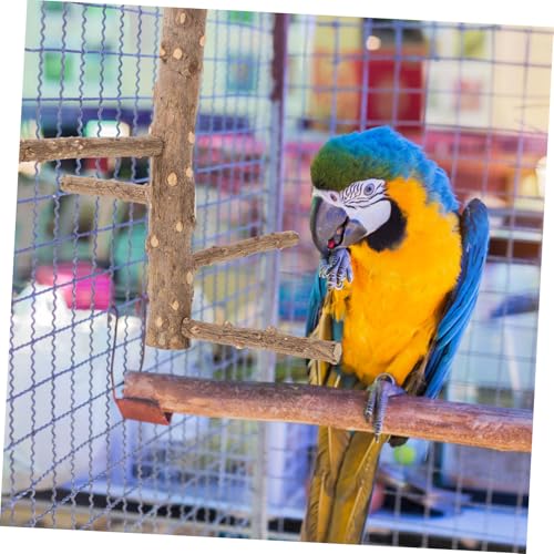 JUMPLAWN Natürlicher Vogel kratzstab aus Holz Parrot Perch Stand mit Stab Bissfestes Kauspielzeug für Papageien Sittiche und Kleine Ziervögel Fördert Krallenpflege und Bewegung von JUMPLAWN