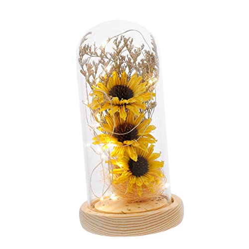 JUMPLAWN Sonnenblumen Licht Led-pflanzenlicht Blumenlampe Glasabdeckung Dekoration Blumenkuppellampe Led-licht Heimdekoration Geschäftsdécor von JUMPLAWN