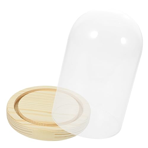 JUMPLAWN Transparente Glasglocke mit Holzsockel Handgemachte Glashaube für Trockenblumen Tischdeko Hochzeits und Partyschmuck Langlebig und Dekorativ von JUMPLAWN