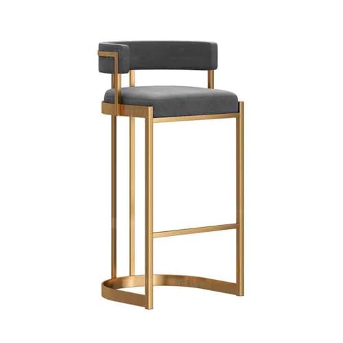 JUNCHENG1008 barhocker Rezeption Küche Licht Luxus Premium Gefühl Insel Tisch Hohe Hocker Hause Rückenlehne Kassierer Spezielle Barhocker barhocker mit lehne(Grigio) von JUNCHENG1008