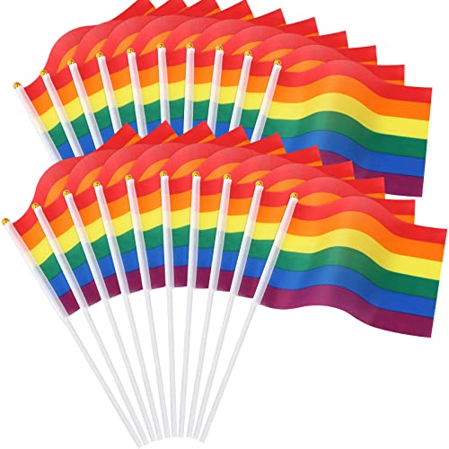 JUNEBRUSHS Pride Regenbogenfahne - 20 Stück Mini Handheld Gay LGBTQ Flaggen 14 × 21 cm - Lesben Tasche Flaggen für Pride Day Parade - Kleine Waving Flags für Party Dekorationen von JUNEBRUSHS