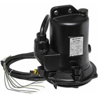 Jung Pumpen - Jung Behälterpumpe uc 10/4 bw JP50469 ersetzt die Nummer JP45778 Jung Pumpen - Jung Behälterpumpe uc 10/4 bw JP50469 ersetzt die Nummer JP45778 von JUNG PUMPEN