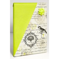JUNG SCHÖNER VERPACKEN Geschenkpapier 50 cm  x 20 m beige/hellgrün von JUNG SCHÖNER VERPACKEN