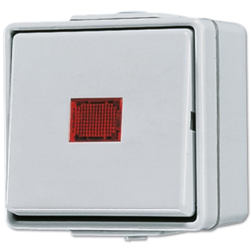 Jung AP-Kontrollschalter 606KOW, 250 V, Grau von JUNG