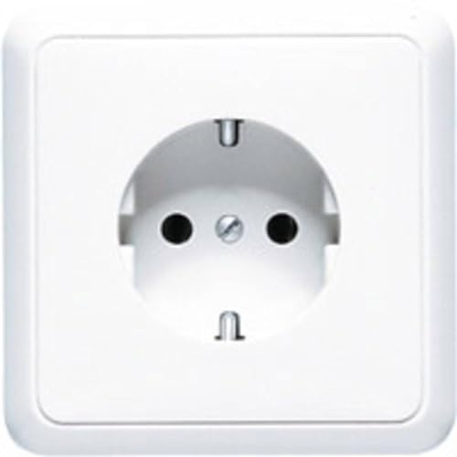 Jung Steckdose SCHUKO 5520 von JUNG