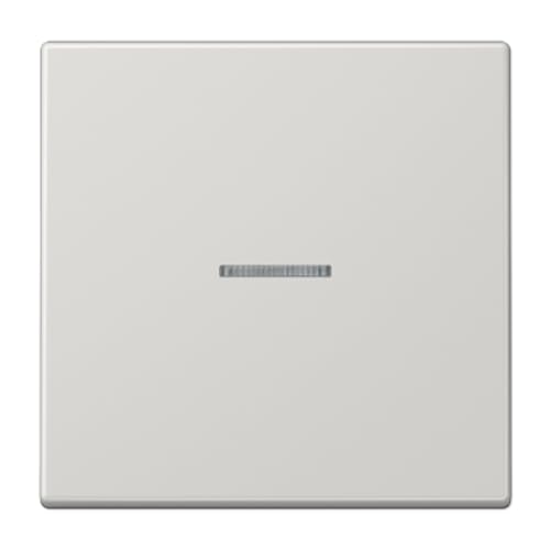 KNX RF 1 Phase LS Schlüssel hellgrau (Referenz: Jung LS10911STRFLG) von JUNG