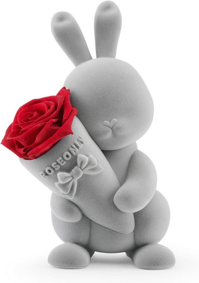 Kunstpflanze Roseonly Rosenbär Teddybär Rot, Valentinstag Teddy Bär für Frauen Ewige Rose Teddy, Ewige Rose mit Herz für Sie, Frauen, Frau, JUNG, Geschenk für Frauen, Konservierte Blume, Rosenbox Geburtstagsgeschenk von JUNG