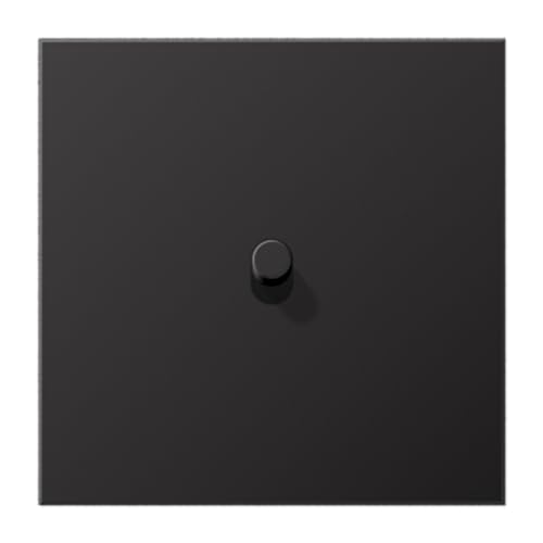 Platte 1 x 1 pal. Zylinder LS1912 dunkel (Referenz: Jung AL12-0DR01) von JUNG