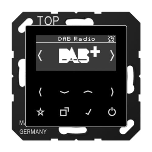 Smart Radio DAB+ JUNG DABASW von JUNG