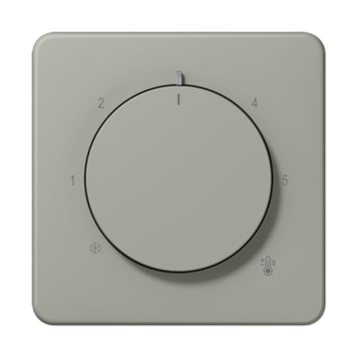 Thermostatplatte CD Platin (Referenz: Jung CD1749BFPT) von JUNG