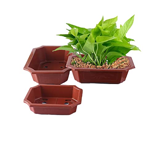 JUNGEN 50 Stück Blumentöpf Kunststoff Bonsai Schale Bonsai Trainingstöpfe Rechteck Anzuchttöpfe Pflanztopf mit Drainageloch für Garten Hof Wohnenzimmer Balkon, 14 x 9 x 4,9 cm von JUNGEN