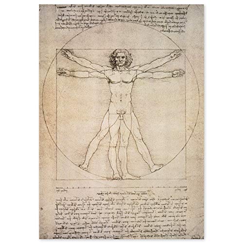 JUNIWORDS Poster, Leonardo da Vinci, Der vitruvianische Mensch, Proportionszeichnung nach Vitruv, 60 x 85 cm von JUNIWORDS